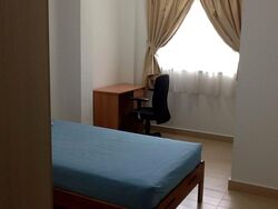 Pebble Lane (D15), Terrace #278351861